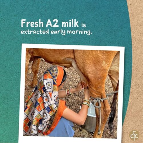 A2 Gir Cow Ghee | 600ml - Image 3