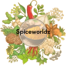 Spiceworldz